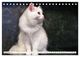 Thumbnail-11