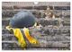 Thumbnail-8