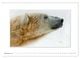 Thumbnail-14
