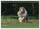 Thumbnail-14