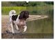 Thumbnail-12