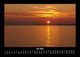 Thumbnail-11