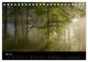 Thumbnail-10