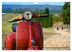 Thumbnail-11