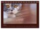 Thumbnail-9
