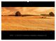 Thumbnail-10