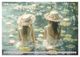 Thumbnail-12