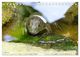 Thumbnail-9