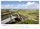 Thumbnail-11