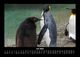 Thumbnail-11