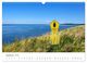 Thumbnail-14