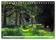 Thumbnail-10