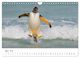 Thumbnail-9