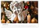 Thumbnail-14