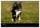 Thumbnail-8