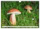 Thumbnail-12