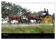 Thumbnail-10
