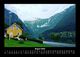 Thumbnail-12