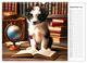 Thumbnail-14