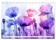 Thumbnail-14