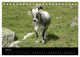 Thumbnail-9