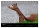 Thumbnail-12