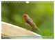 Thumbnail-8