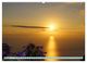 Thumbnail-9