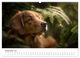 Thumbnail-13
