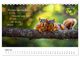 Thumbnail-9