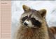 Thumbnail-12