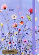 Thumbnail-0