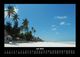 Thumbnail-11