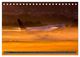 Thumbnail-9