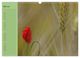 Thumbnail-10