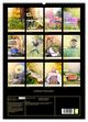 Thumbnail-8