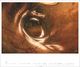 Thumbnail-14