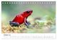 Thumbnail-12