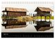 Thumbnail-9