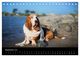 Thumbnail-14