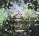 Thumbnail-2