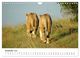 Thumbnail-14
