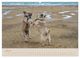 Thumbnail-12