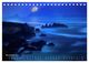 Thumbnail-13