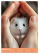 Thumbnail-11
