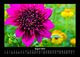 Thumbnail-12