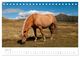Thumbnail-10