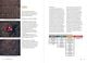 Thumbnail-15