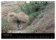 Thumbnail-13