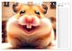 Thumbnail-10